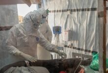 Primeiro caso de Ébola em França