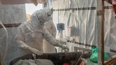 Primeiro caso de Ébola em França