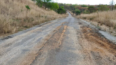 ANE desafiada a concluir corte de capim no Niassa até no fim do mês