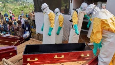 RD Congo eleva para 492 o número de mortos e para 1.528 os casos de Ébola