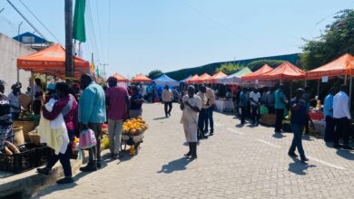 Mais de 150 expositores participam hoje na Feira de Tete