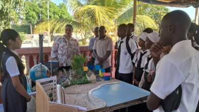 Estudantes da Young Gemynds International School expõem Ciência e Artes em Nacala