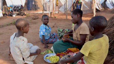 Prevalecem elevados índices de desnutrição crónica no Niassa