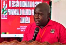 Frelimo defende geração de emprego e desenvolvimento sustentável