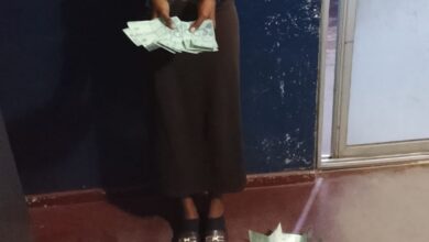 Jovem de 19 anos acusada de contrafacção de moeda