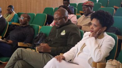 Maputo candidata-se à Rede de Cidades Criativas da UNESCO