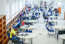 ENSINO SUPERIOR: Cultivar pensamento crítico pode evitar dependência da IA