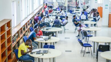ENSINO SUPERIOR: Cultivar pensamento crítico pode evitar dependência da IA