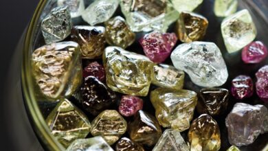 PELA PRIMEIRA VEZ: País organiza leilão internacional de gemas