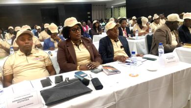 Quarenta mortes por violência doméstica