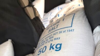 Inspecção alerta para consumo de sal impróprio em Inhambane