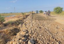 Arrancam próxima semana obras de emergência na EN1