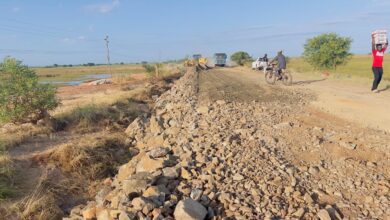 Arrancam próxima semana obras de emergência na EN1