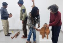 Magadju Maússe inaugura “Olhando ao Redor II”