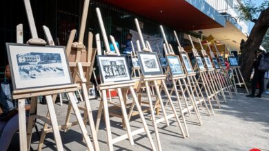 CDFF celebra Dia Mundial da Fotografia com debate e exposição