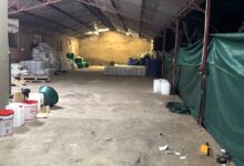 Polícia sul-africana desmantela laboratório de drogas em Musina