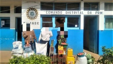 Professores detidos por desvio de lanche escolar