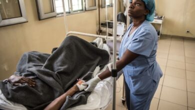 Medicina tradicional encaminha 368 mil casos suspeitos de malária, HIV e tuberculose