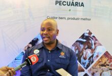 Maputo reforça aposta na produção de tilápia