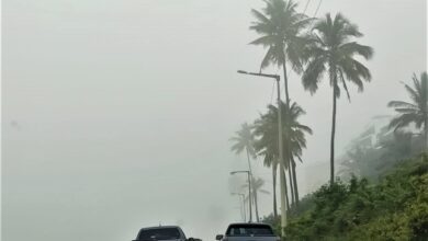Alerta de vento forte para marinha no Sul