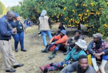 Três moçambicanos entre os cinco detidos na África do Sul