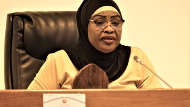 Moçambique e Zimbabwe em cooperação parlamentar