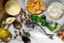 Conferência debate segurança alimentar - Jornal Notícias