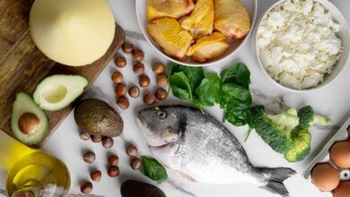 Conferência debate segurança alimentar - Jornal Notícias