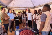 Empreendedorismo reduz adesão ao extremismo no Norte