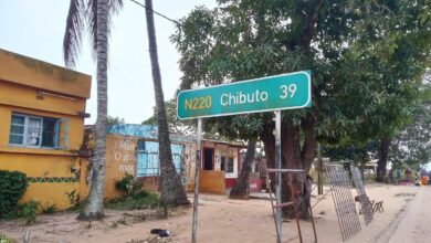 Hoje é dia de Chibuto e Montepuez