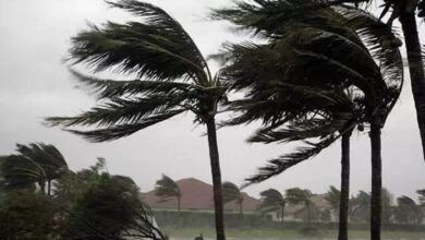 Sistema de baixas pressões evolui para Tempestade Tropical