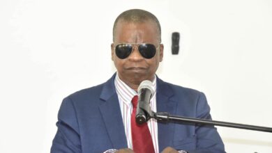 Menezes abre seminário científico sobre inovação e etnobotânica em Maputo