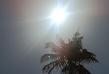Calor intenso amanhã na zona Sul