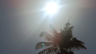 Calor intenso amanhã na zona Sul